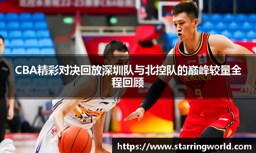 BB贝博登录入口